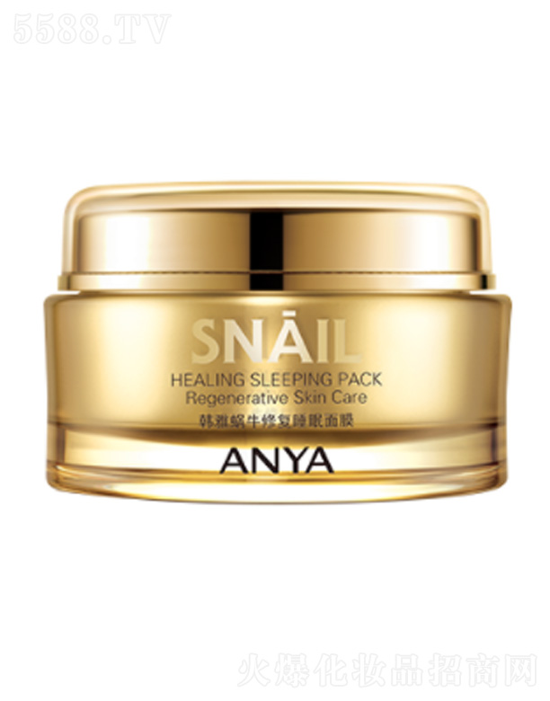 韓雅蝸牛修復睡眠面膜 100g