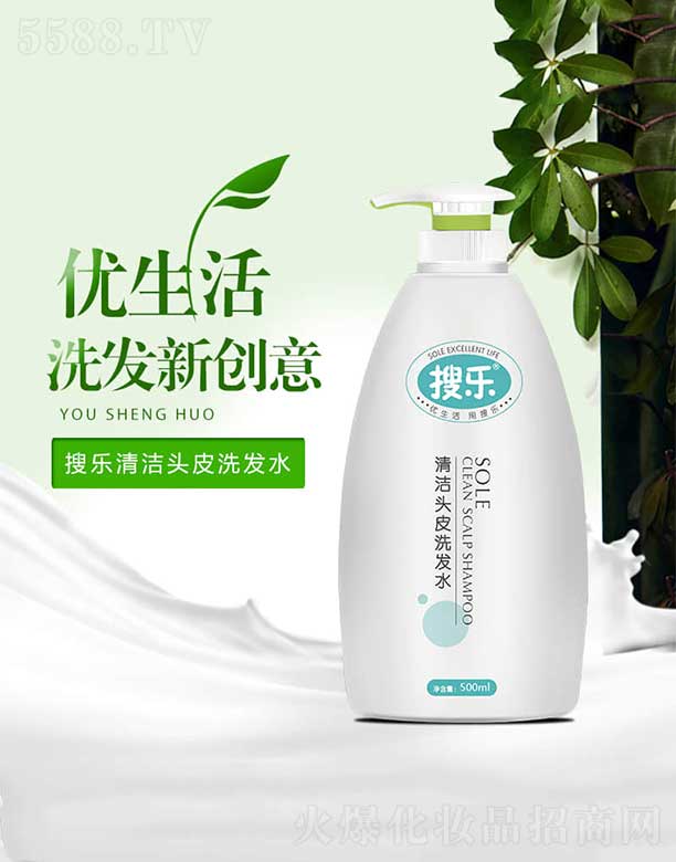 �ј��坍�^Ƥϴ�lˮ 500ml