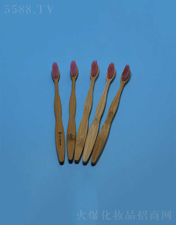 環保竹柄牙刷EFBH-010