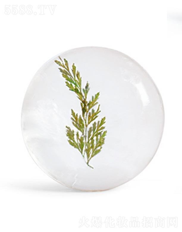 LIYALAN���ɲݰ�����͸�������� 80g