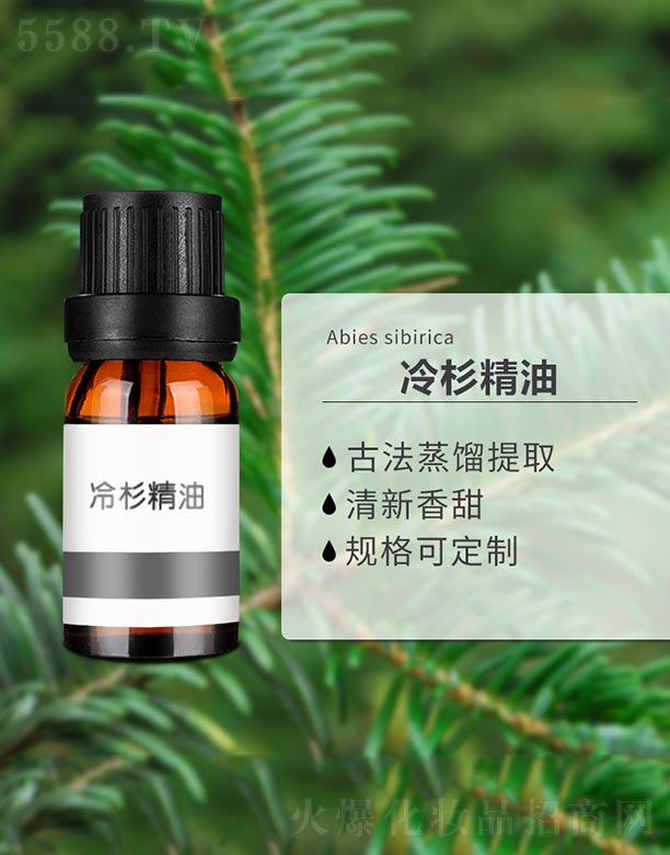 ��ɼ����