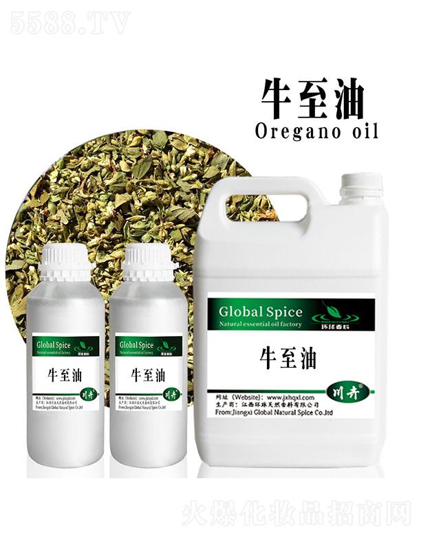 �h��ţ����