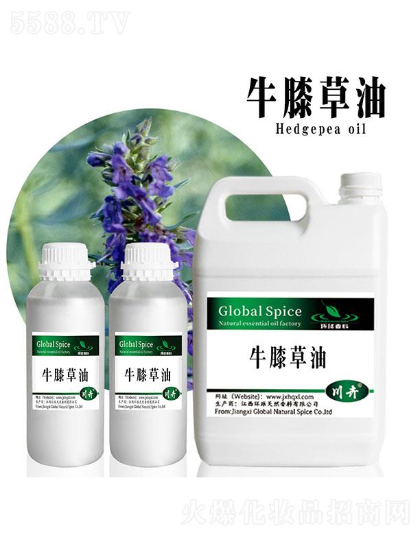 �h��ţϥ����