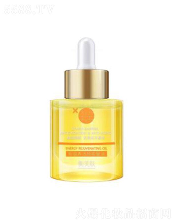 �����w���N�B��������� ���̓ȸ��Ͷ�������