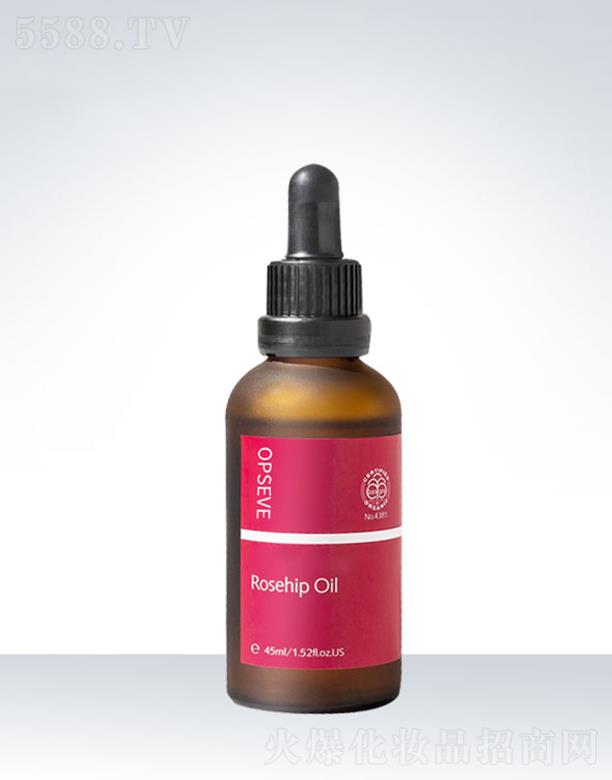 �W��˹õ����ʹ��ӹ�