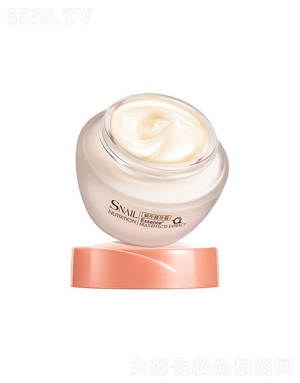 ���^�������_  �Rޢ΁ţ���A˪  50g   �aˮ��ˬ