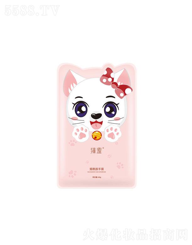 �V���������   ���ߟ��������w؈צ��Ĥ   �̝�ȥ���|