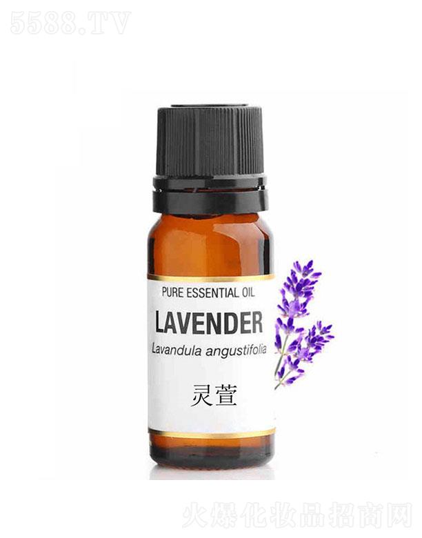 �V�|����Ԋ�`��޹�²ݾ���