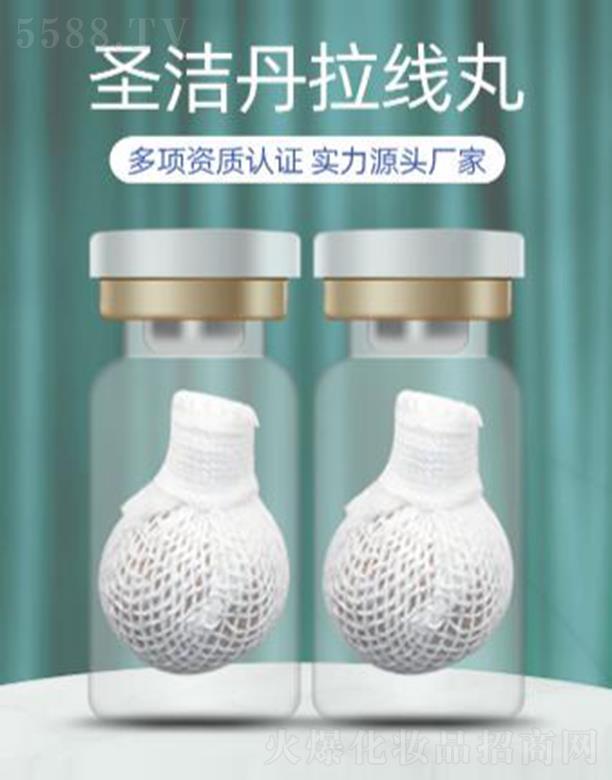 �V�ݵ۷�ʥ���� ��������ӹ�