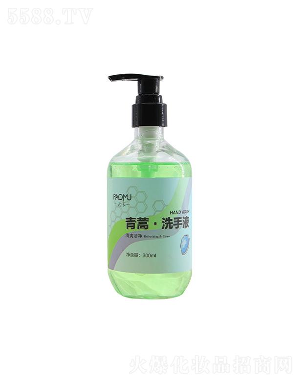 ���K�������   ��Ľ����ϴ��Һ   �غ��坍   300ml