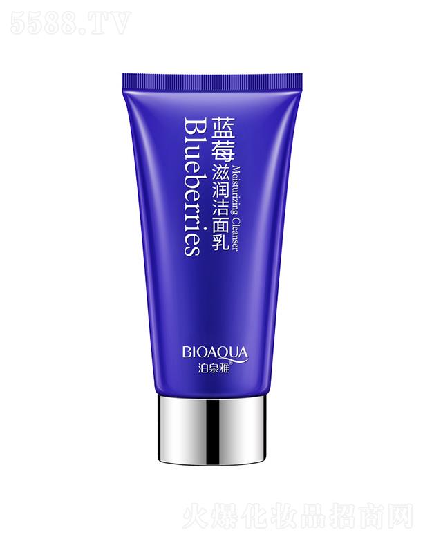 �V���А�ɏ   ��Ȫ���{ݮ������   �aˮ����   ����坍