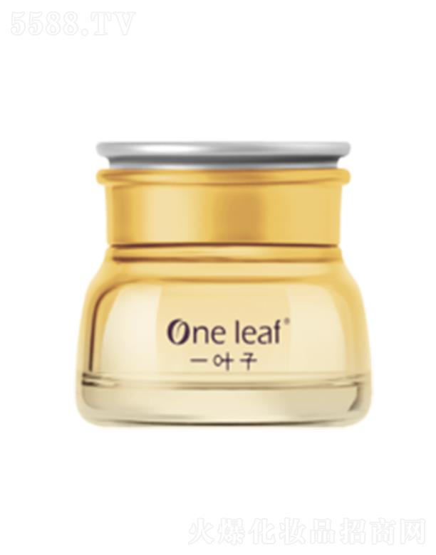 һ�~�ӻ����ͱ������B���A˪