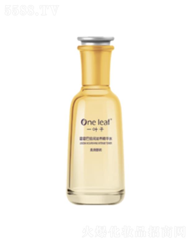 һ�~�ӻ����ͱ������B���Aˮ