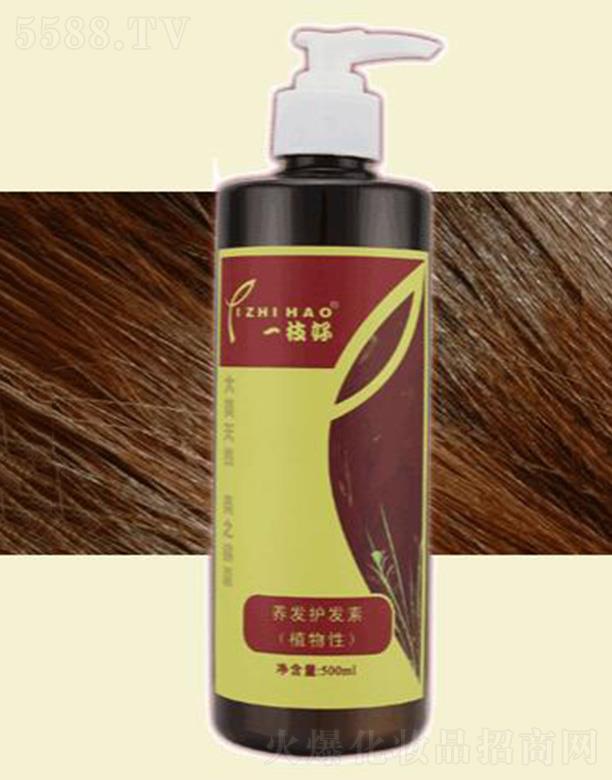 һ֦���B�l�o�l��(500ml) �^�l������호��Џ���