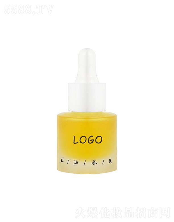 �V���{���������w�� �����B�w���o�沿���A�ӹ�