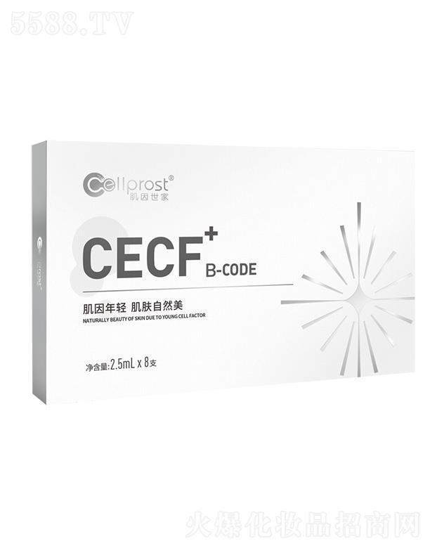 ��������CECF+B-CODE ����Ƥ�w�����ޏ͹���