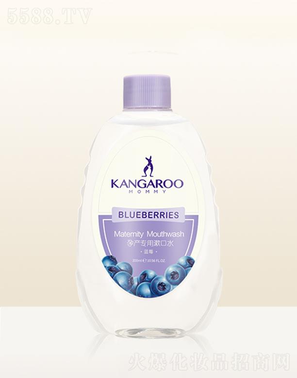 ���󋌋��Юa��������ˮ���{ݮ��300ml�h�x���N���܆��}