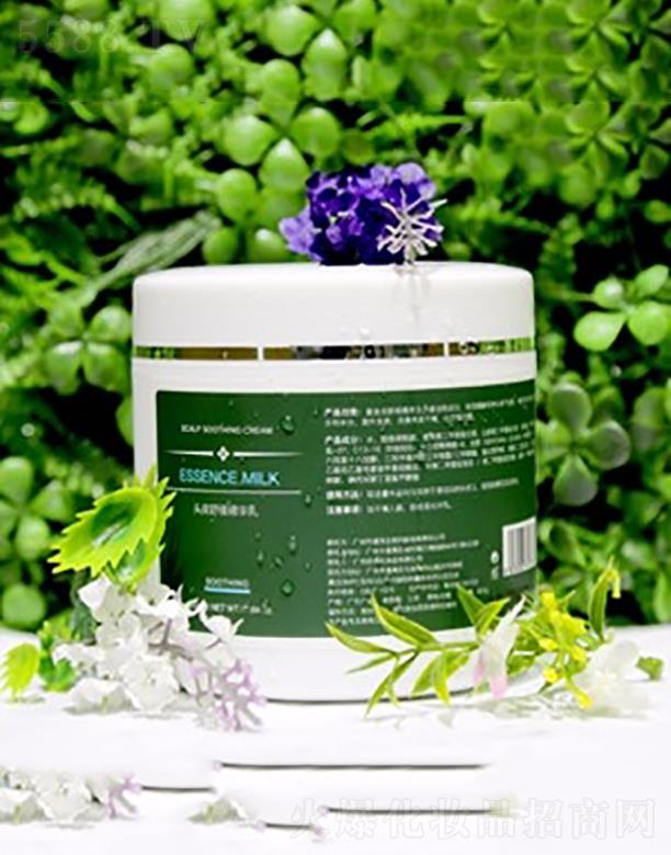 ���z���澏���A��  �����l�|