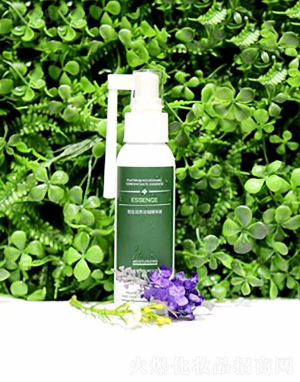 ���z�ʽ����B��s���AҺ  �揈ë��