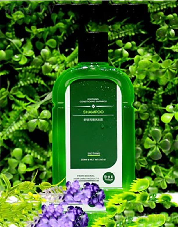 ���z���澏�{��ϴ�l¶ ��ˬ�ҷ�