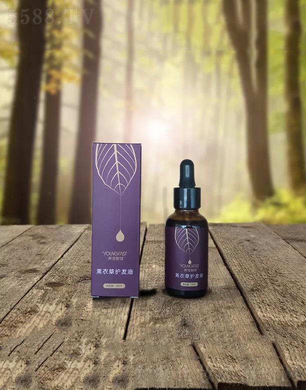 �B�l˹��޹�²��o�l��  ���B�^Ƥ