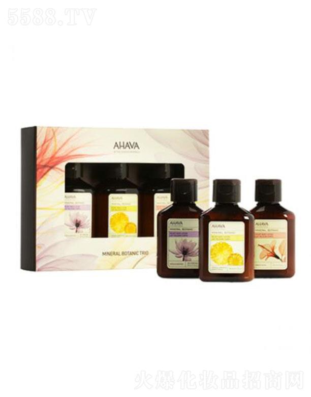 AHAVA�z�q������w���S���b ���w��ܛ����
