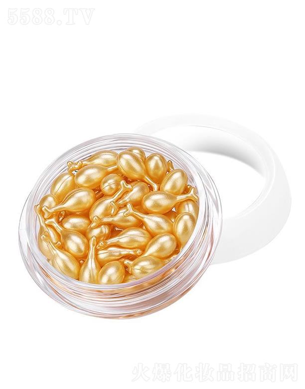 �V�����m(x��)�t(y��)ˎ   ��������֥�ܸ���ϩ̥�P�ؾ��A   ������(x��)�y����