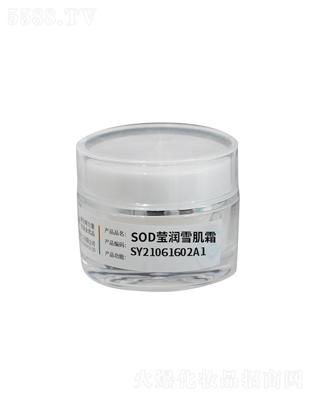 廣州盛妍精細(xì)化工 雅瀾琪瑩潤雪肌霜 瑩潤透亮 鎖水提亮膚色