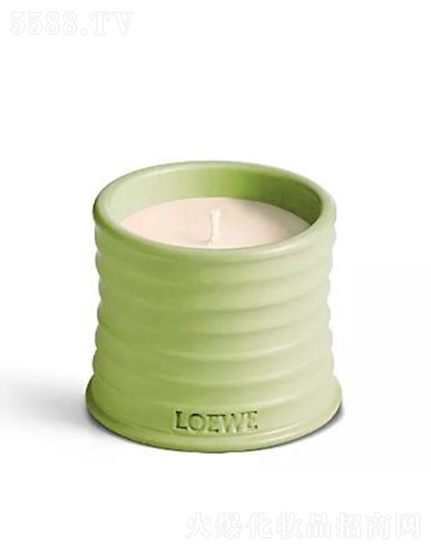 �_�����S����ζϞ�T