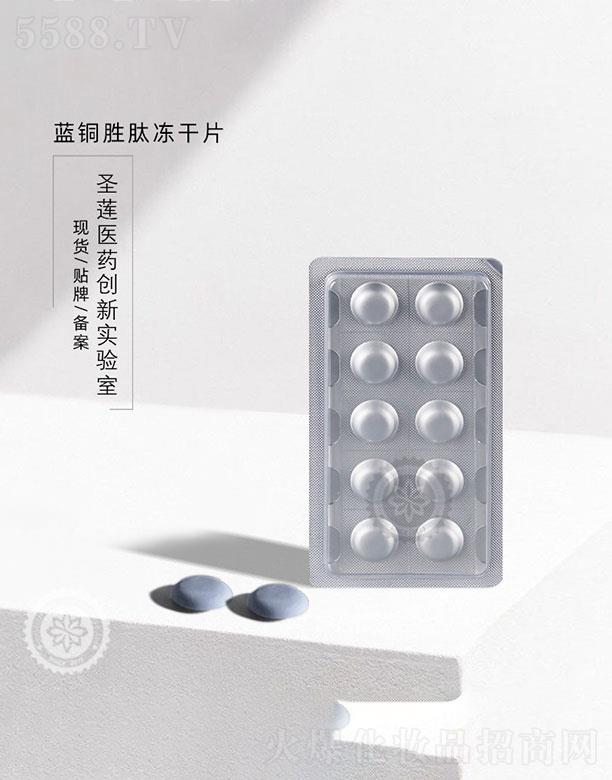 �V��ʥɏ  ʥɏ�{�~�ă���Ƭ   ���o���w����