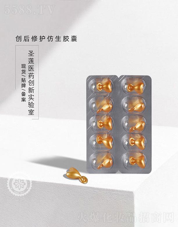 �V��ʥɏ   ʥɏ�������o�����z��   ���o���w