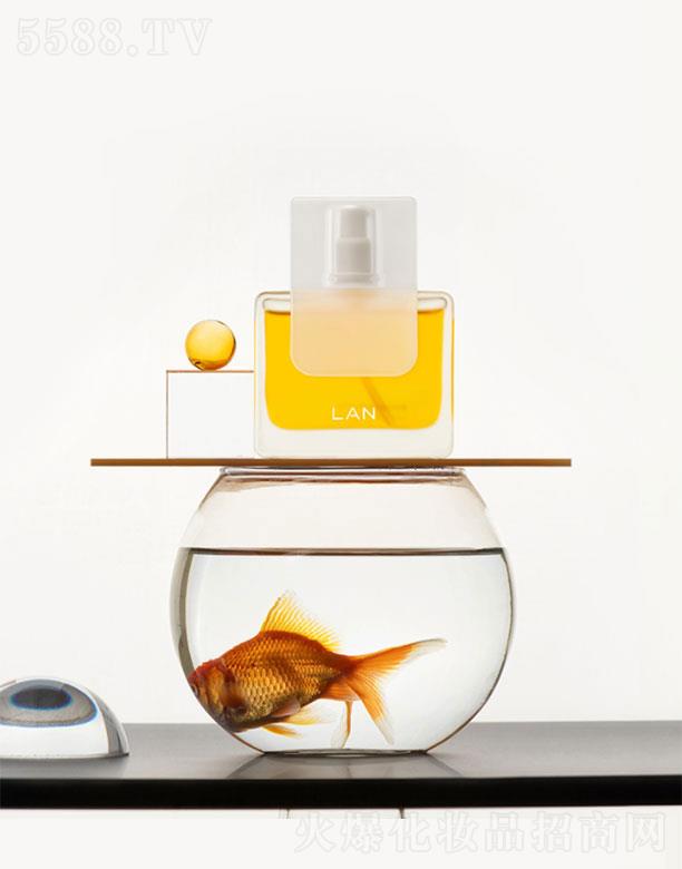 �����m��   �m�P�ˬ���������   �����B�w   ����