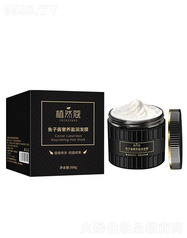 ֲȻޢ�~���u���Bӯ���lĤ   500g