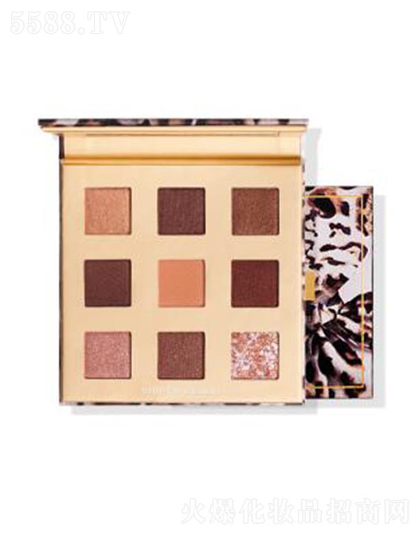 HOPE-COLOR敢耀吸睛9宮格眼影盤2#沙漠大地