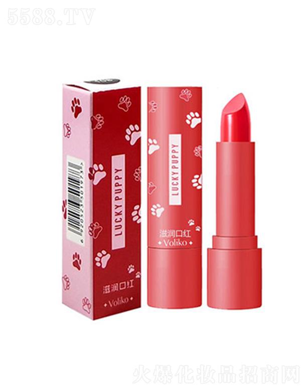 LUCKY PUPPY �̝��ڼt