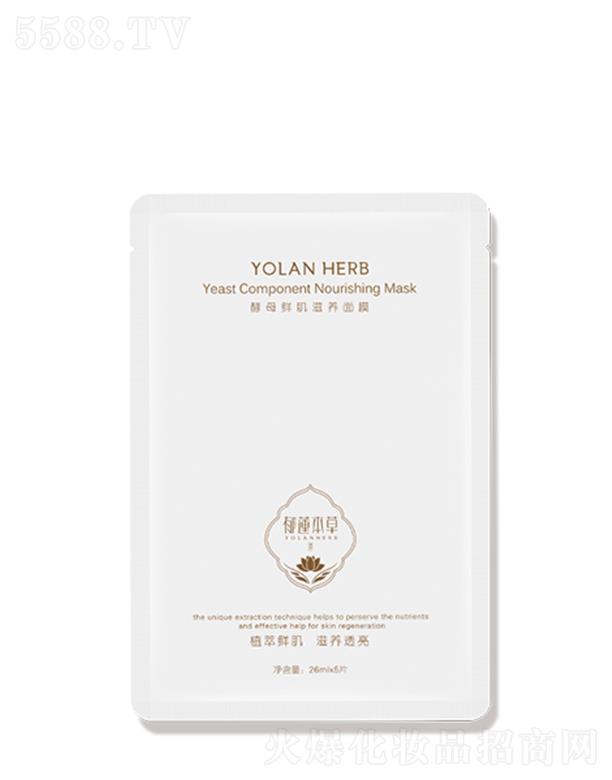 ��ɏ���ݽ�ĸ�r�����B��Ĥ 26ml��5Ƭ