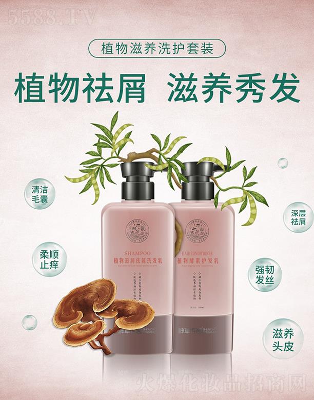 ��݂���ֲ�����Bϴ�o���b