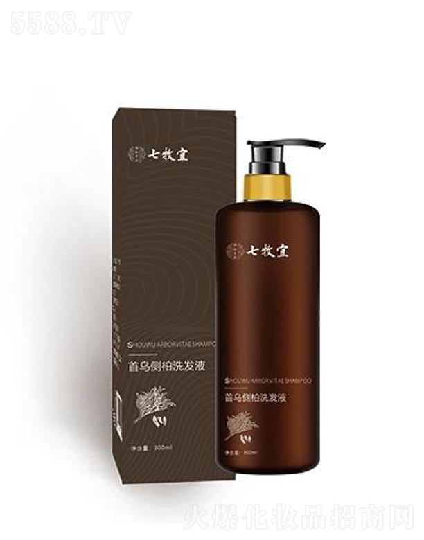 �������מ����v�I�Bϴ�lҺ