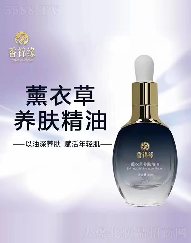 ���\��޹�²��B�w����