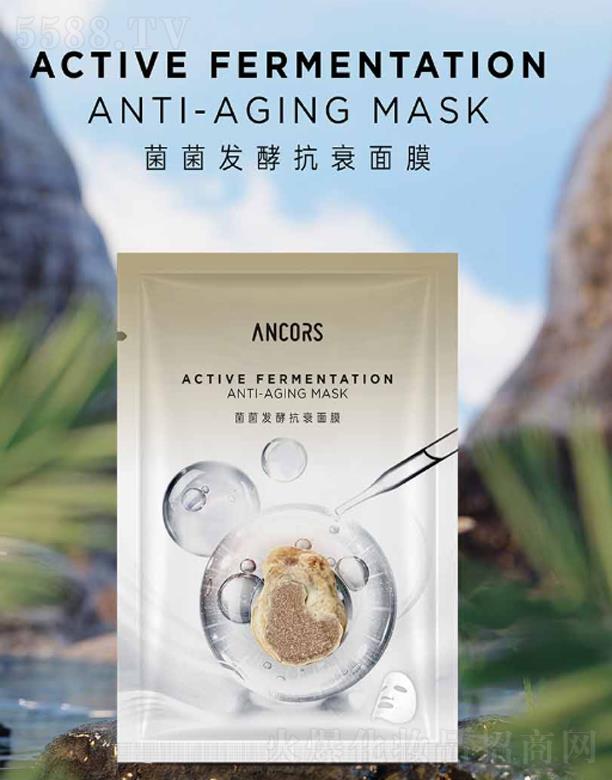 ANCORS�����l�Ϳ�˥��Ĥ