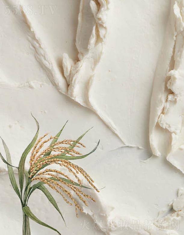 ANCORS��������������Ĥ