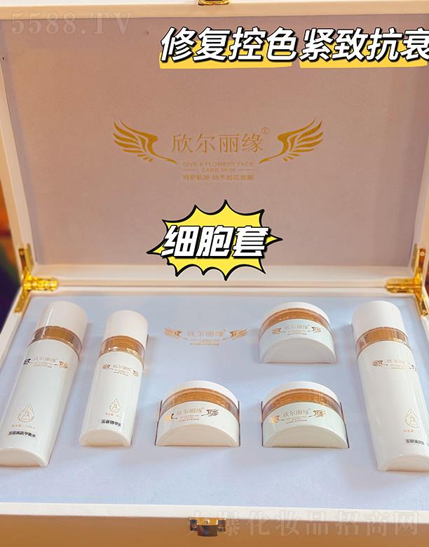 欣爾麗緣玉容套