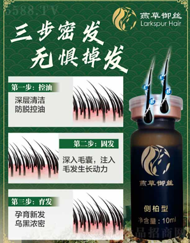 燕草御絲側(cè)柏型