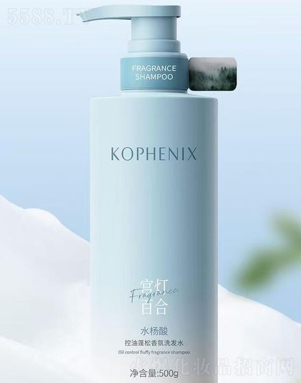 ���P��ˮ��������������ϴ�lˮ