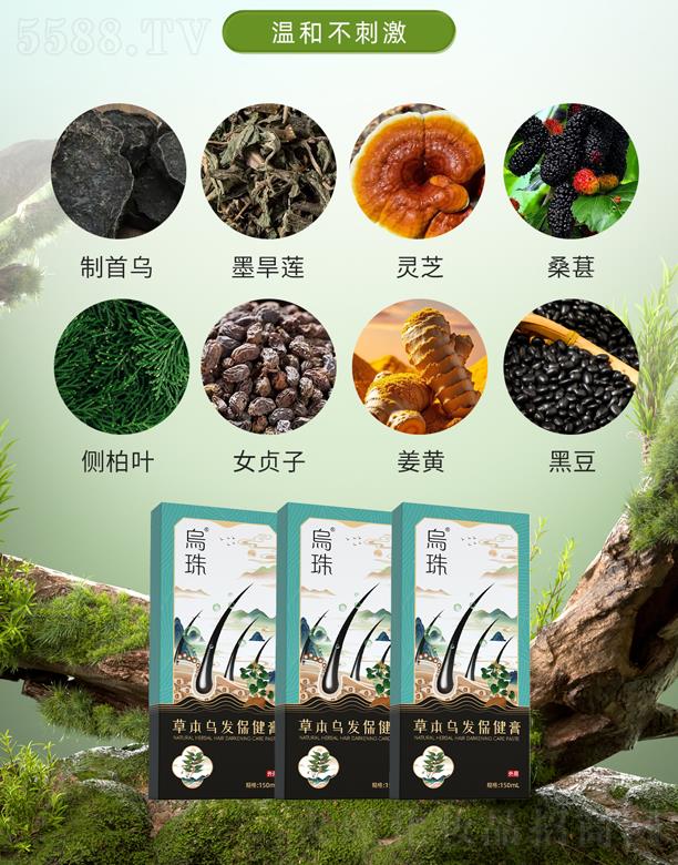 烏珠草本烏發(fā)保健膏