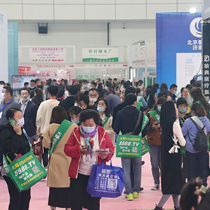 2020���ϸ߶����I���[���҂������̈F��c�͑�һ·���S��