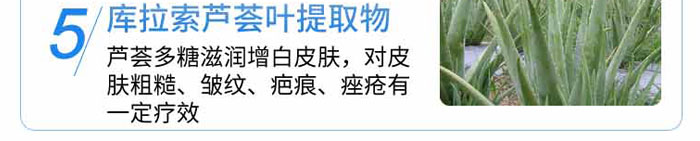 �t��������N_11