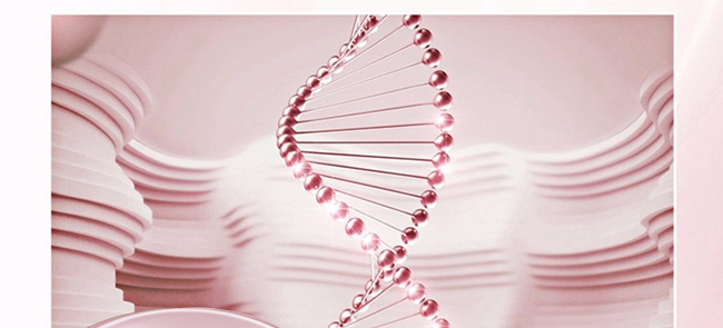 ��֮����|CC˪