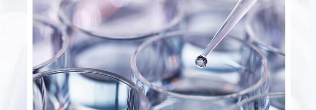 �f�͸߿ƽ�ĸֲ�;��A��Һ