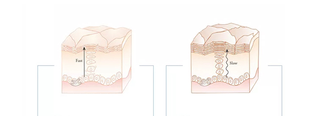 �������eѩ�ݽ�ĸԭ�{